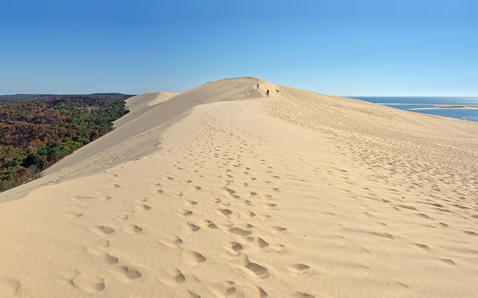 Dune du Pilat