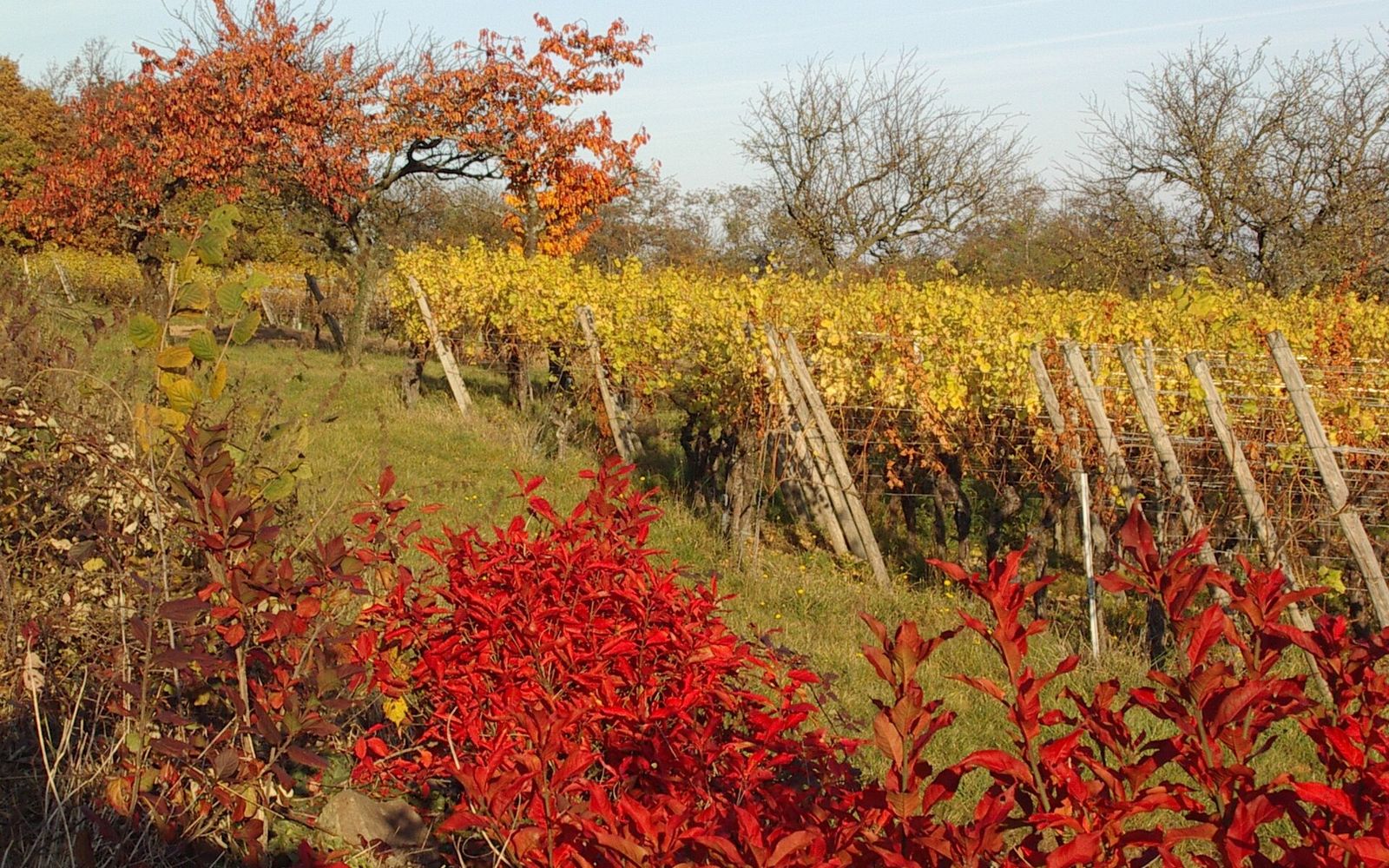 Frankrijk in de herfst