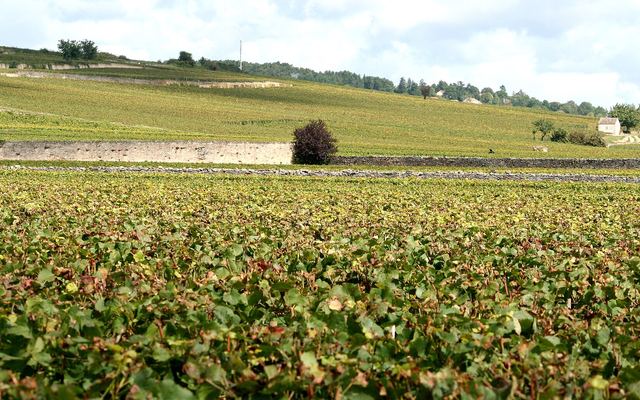 Franse wijnstreken